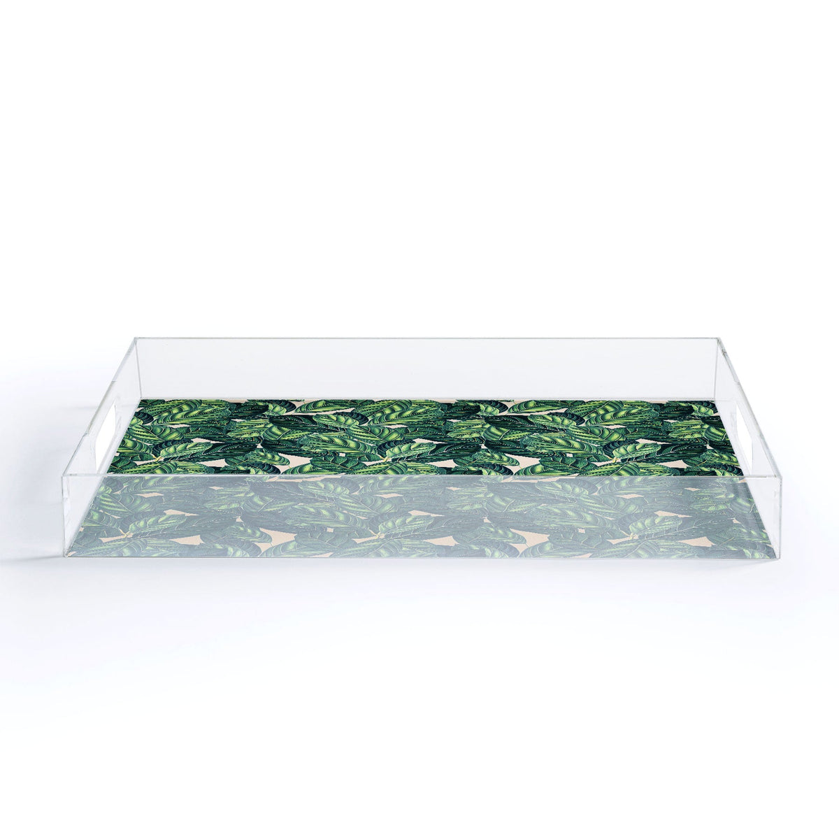 83 Oranges Botany Acrylic Tray