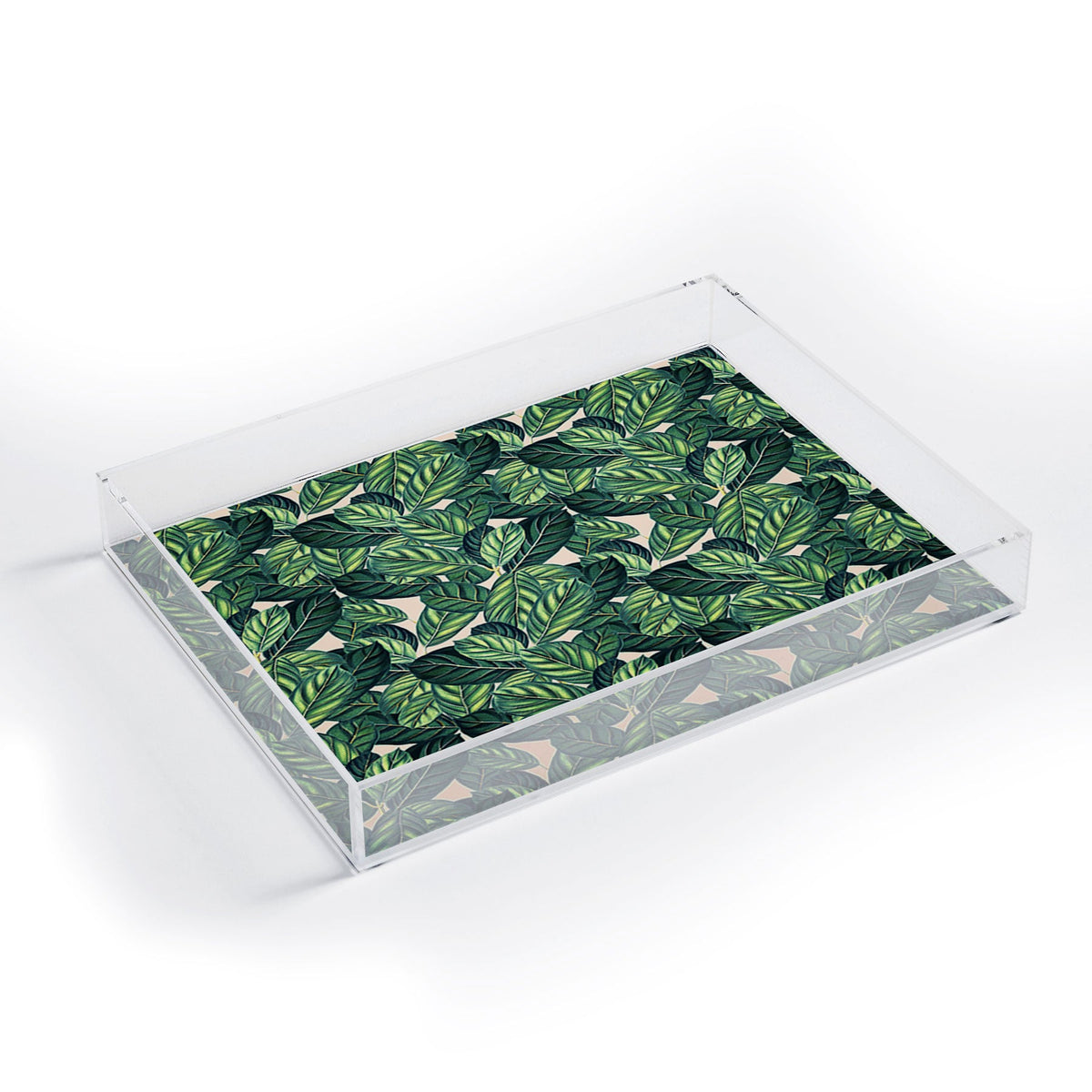83 Oranges Botany Acrylic Tray