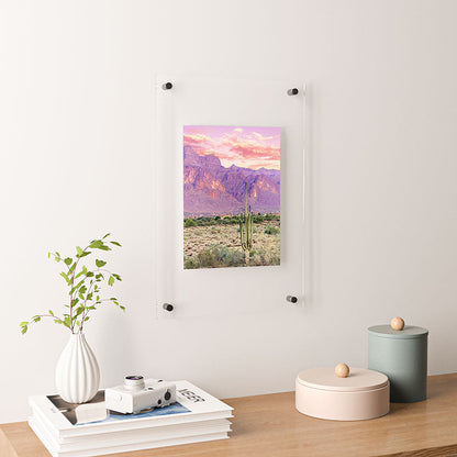83 Oranges Cactus Sunset Floating Acrylic Print