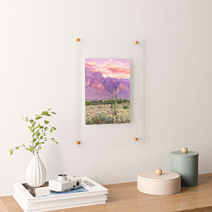 83 Oranges Cactus Sunset Floating Acrylic Print