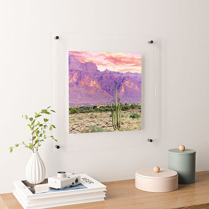 83 Oranges Cactus Sunset Floating Acrylic Print
