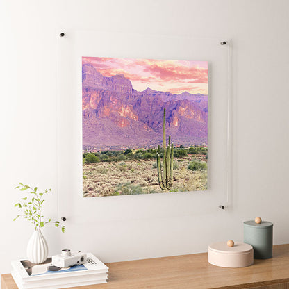 83 Oranges Cactus Sunset Floating Acrylic Print