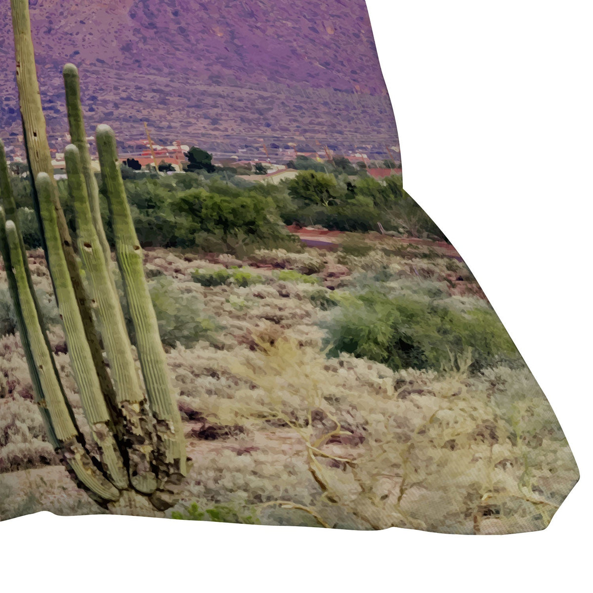 83 Oranges Cactus Sunset Outdoor Throw Pillow
