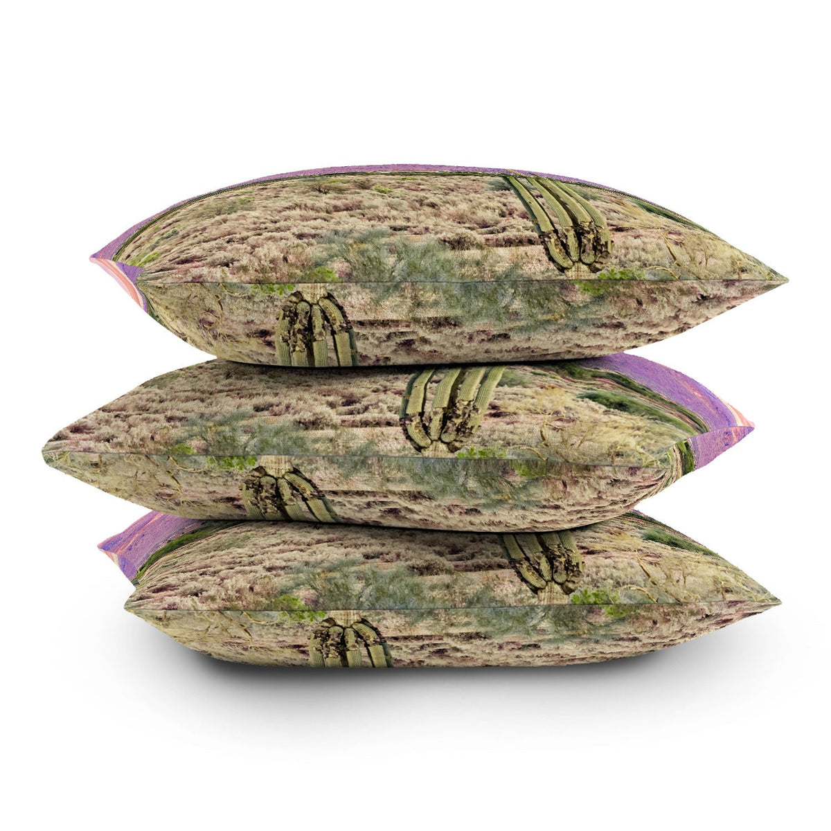 83 Oranges Cactus Sunset Outdoor Throw Pillow