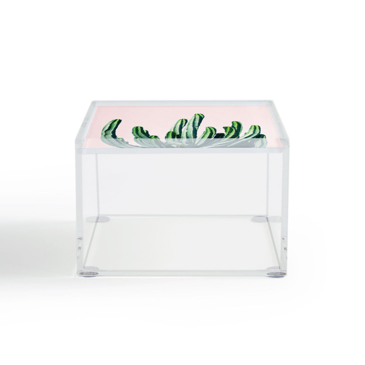 83 Oranges Cactus V6 Acrylic Box