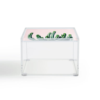 83 Oranges Cactus V6 Acrylic Box