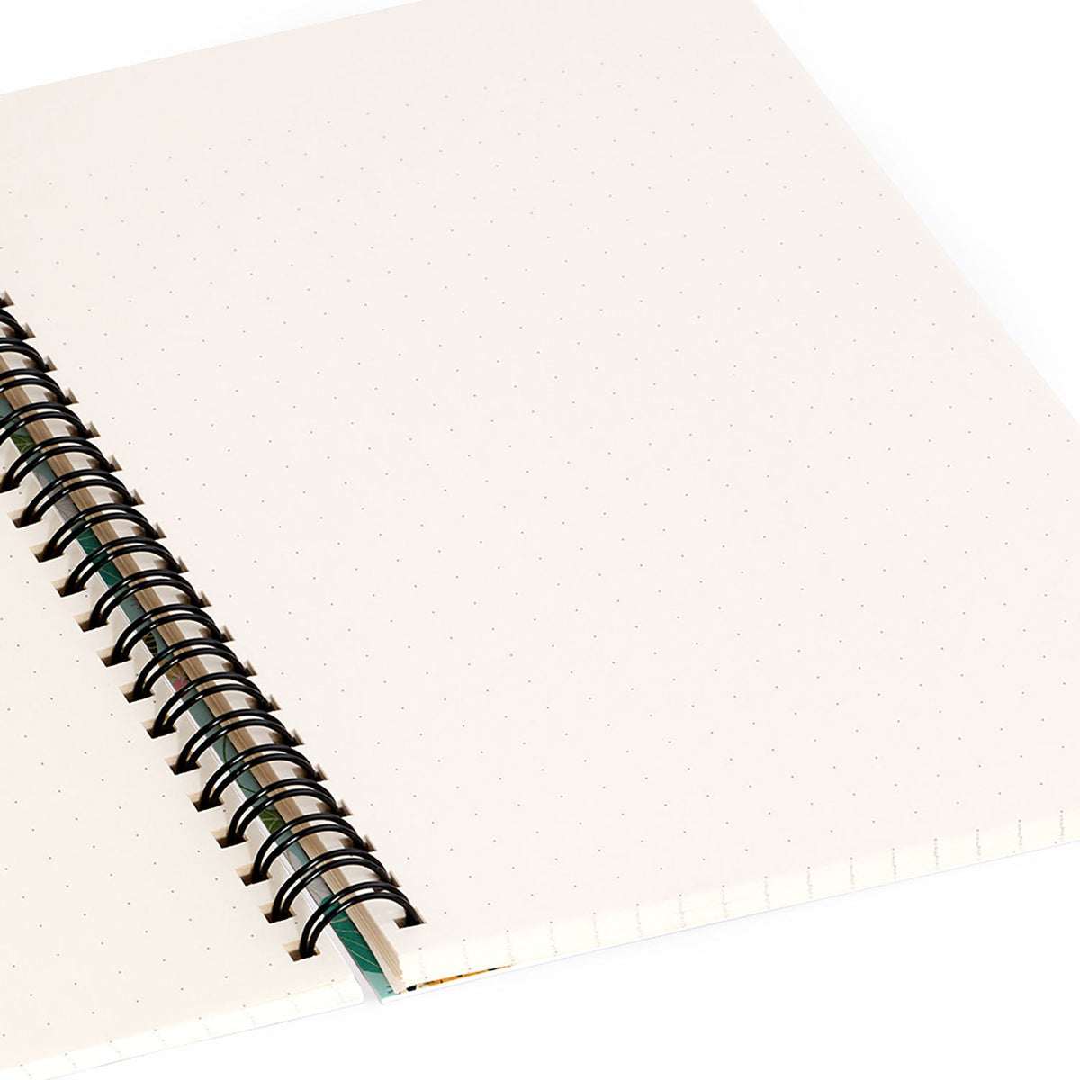 83 Oranges Cheetah Jungle Spiral Notebook