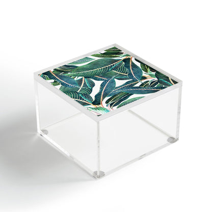 83 Oranges Edge and Dance Acrylic Box