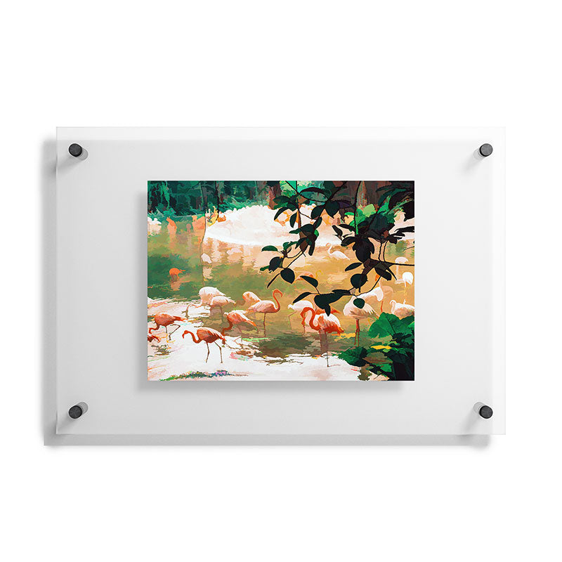 83 Oranges Flamingo Sighting Jungle Nature Floating Acrylic Print