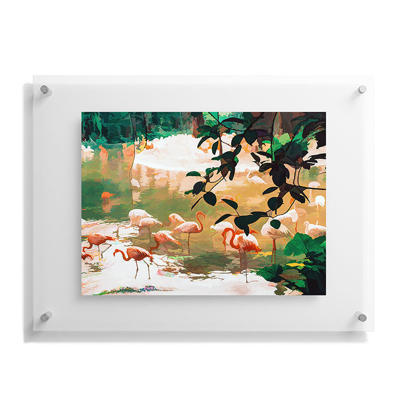 83 Oranges Flamingo Sighting Jungle Nature Floating Acrylic Print