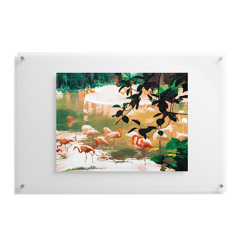 83 Oranges Flamingo Sighting Jungle Nature Floating Acrylic Print