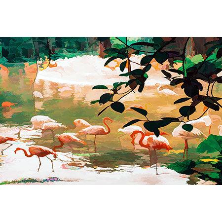83 Oranges Flamingo Sighting Jungle Nature Wall Mural