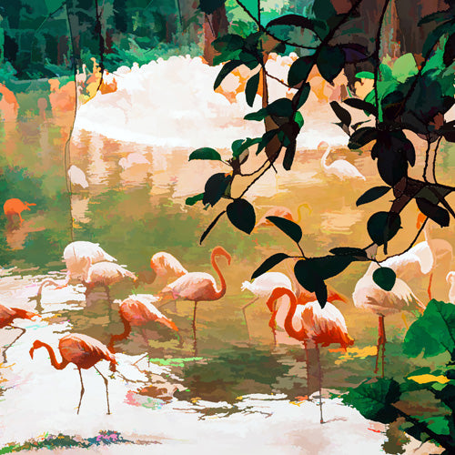 83 Oranges Flamingo Sighting Jungle Nature Wall Mural