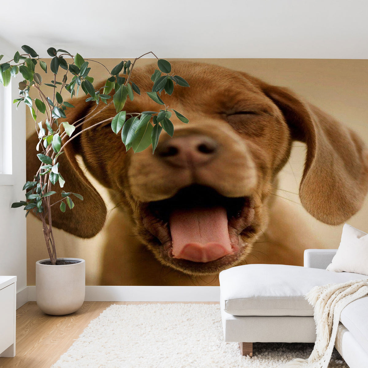 1 Create Your Own Custom Wall Mural