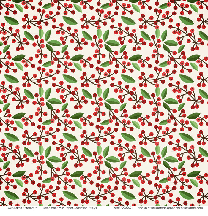 December 25th - Paper Pack