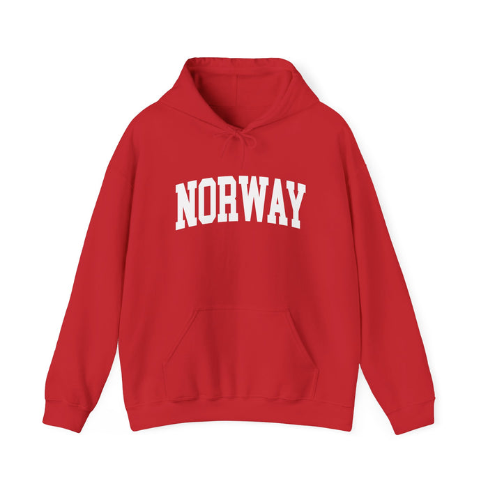 Norway University Hooded Sweatshirt