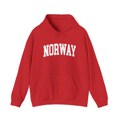 Norway University Hooded Sweatshirt