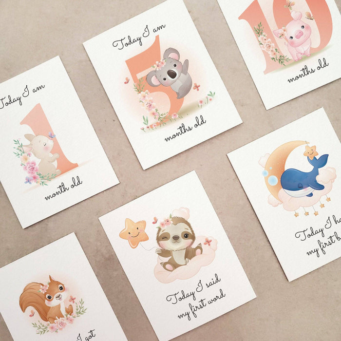 Pack of Baby Milestone Cards - XOXOKristen