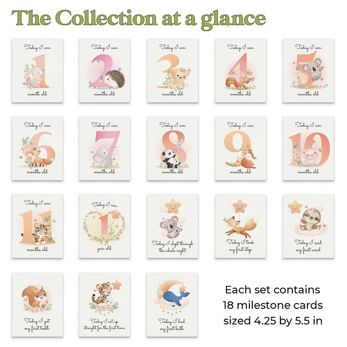 Pack of Baby Milestone Cards - XOXOKristen