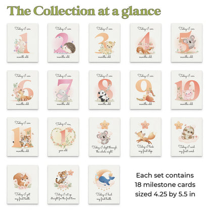Pack of Baby Milestone Cards - XOXOKristen