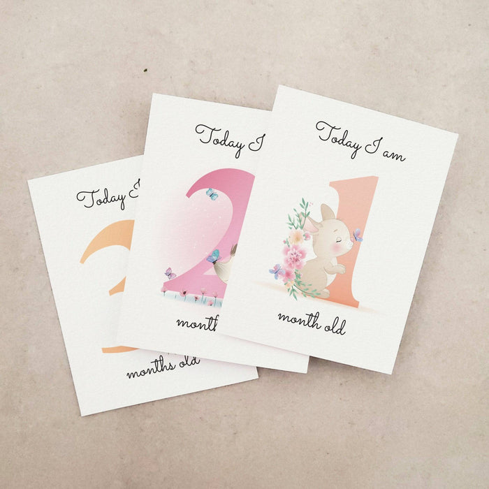 Pack of Baby Milestone Cards - XOXOKristen