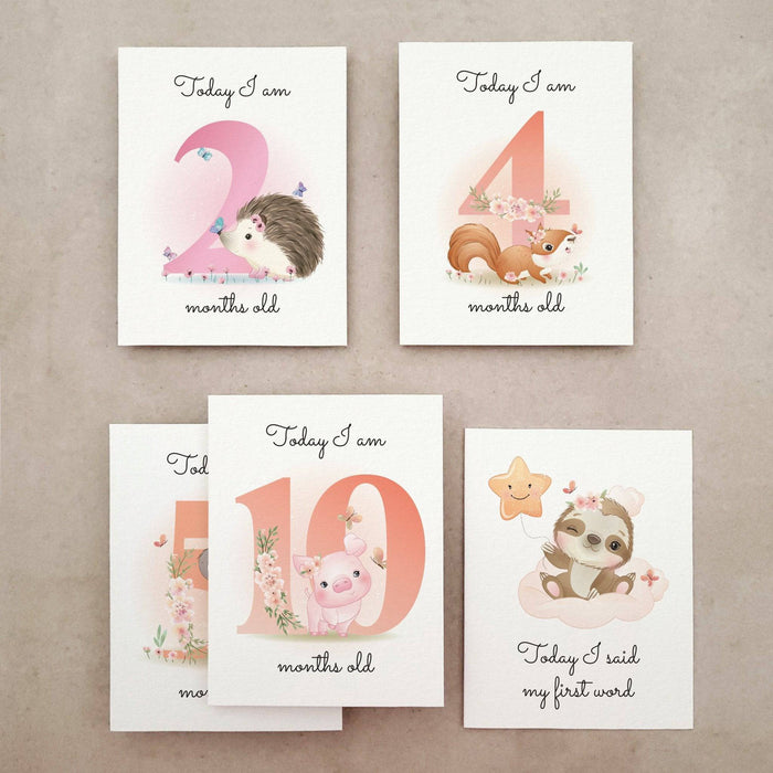 Pack of Baby Milestone Cards - XOXOKristen