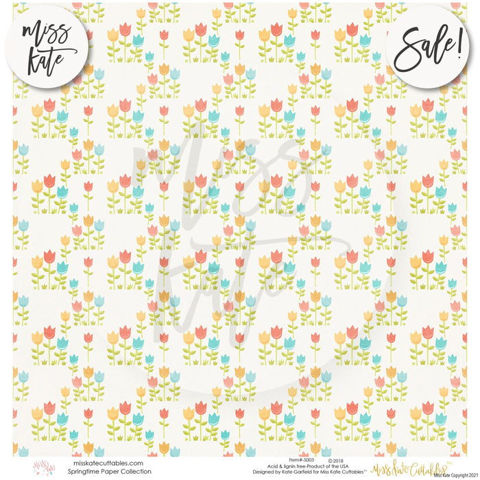 Springtime - Paper Pack 12X12 (Ss)