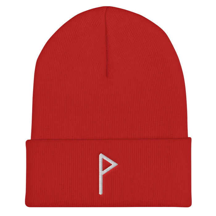 Wunjo (Joy) Viking Rune Embroidered Beanie Scandinavian Design Studio